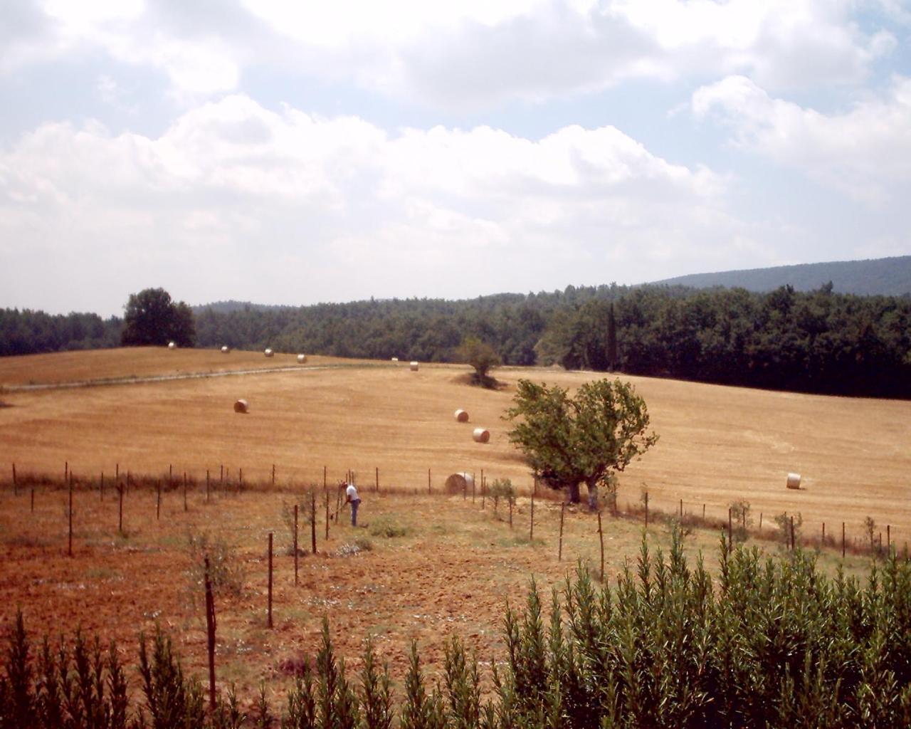 Agriturismo Natura E Salute San Gimignano Zewnętrze zdjęcie